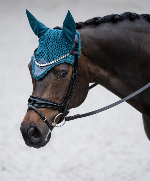 OREJERAS TEAL BLUE EQUESTRIAN STOCKHOLM